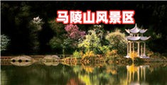 大鸡巴日屄视频